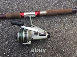 Diawa spinning rod and zebco reels