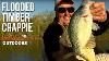 Flooded Timber Crappie Bill Dance Outdoors