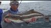 Saltwater Fishing Zebco Challenge Florida Offshore