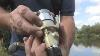 Setting Up A Fishing Rod Reel Properly