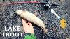 Struggle Is Real Rainbow Trout On Zebco 404 Spincast Reel