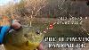 This Rig Is A Panfish Magnet Fishing Fishingvideo