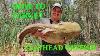 Where To Find Flathead Catfish And What Rigs To Use To Catch Them