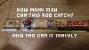Zebco 202 Fishing Rod Challenge The Challenge Is Going Check Out The Playlist